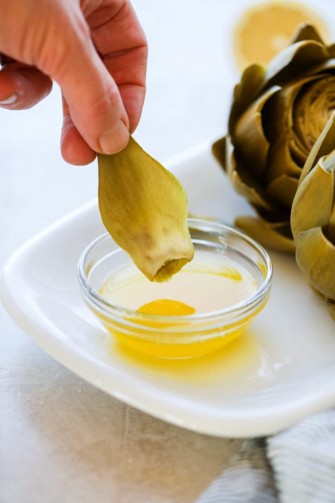 A freshly cooked artichoke leaf being dipped into a bowl of melted ghee
