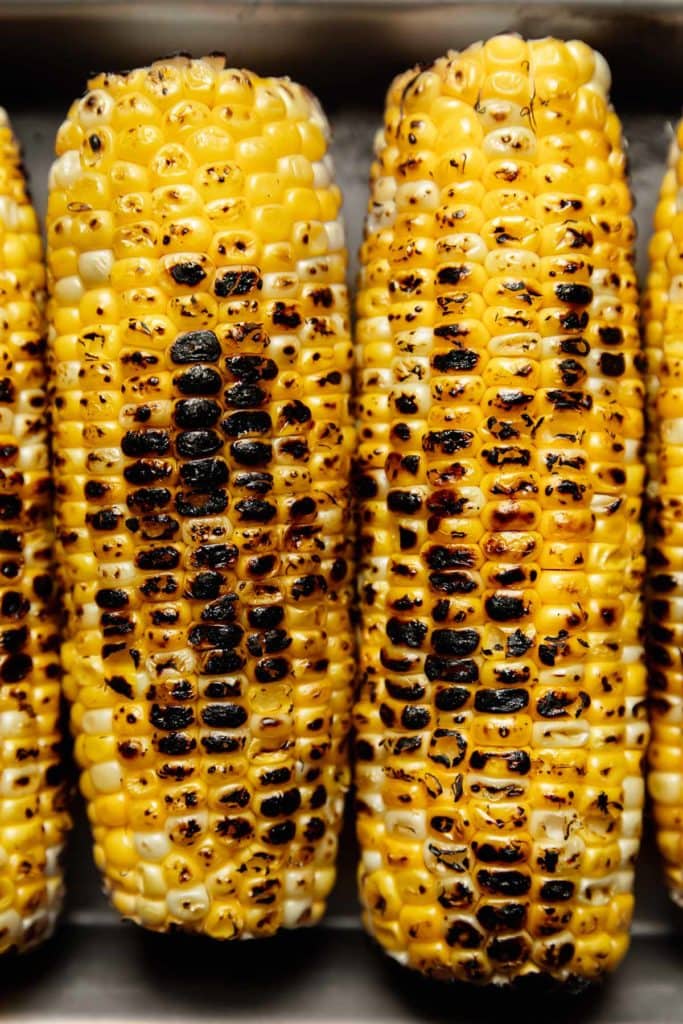 Lightly charred corn on the cob in a metal baking dish.